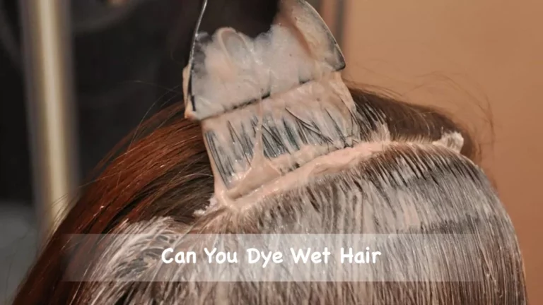 Can You Dye Wet Hair with Permanent Hair Dye – Expert’s Guide